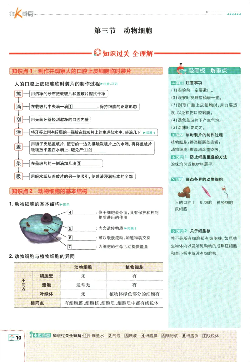 初中必刷题-7上-生物人教版狂K重点_2、2025初中必刷题合集_初中必刷题23+24+25上册_2025版（全科上册）_2025版（全科上册）_初中必刷题生物