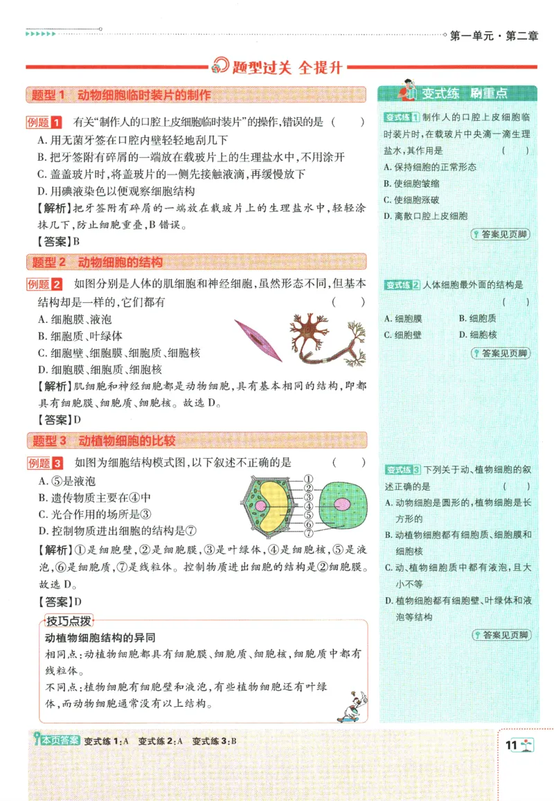 初中必刷题-7上-生物人教版狂K重点_2、2025初中必刷题合集_初中必刷题23+24+25上册_2025版（全科上册）_2025版（全科上册）_初中必刷题生物