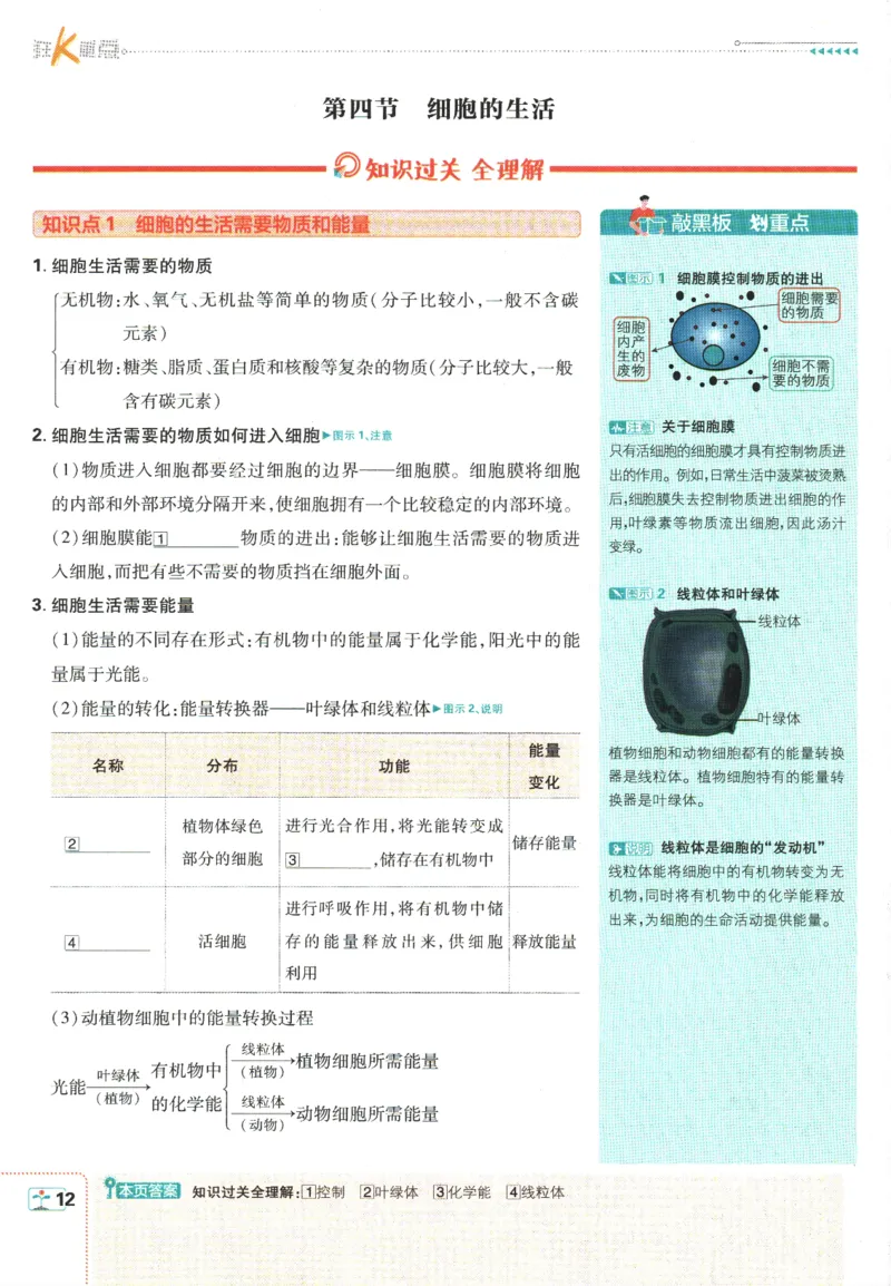 初中必刷题-7上-生物人教版狂K重点_2、2025初中必刷题合集_初中必刷题23+24+25上册_2025版（全科上册）_2025版（全科上册）_初中必刷题生物