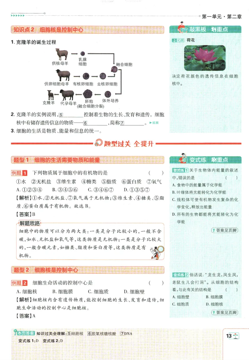 初中必刷题-7上-生物人教版狂K重点_2、2025初中必刷题合集_初中必刷题23+24+25上册_2025版（全科上册）_2025版（全科上册）_初中必刷题生物