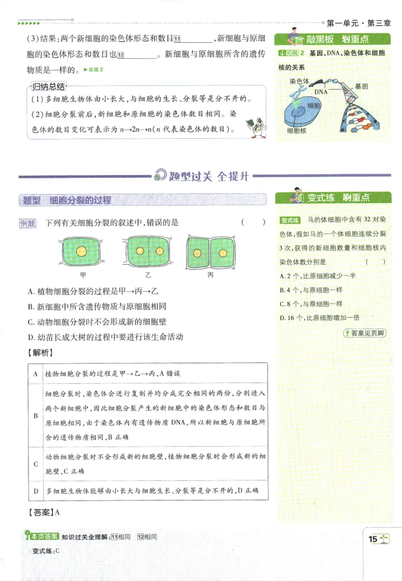 初中必刷题-7上-生物人教版狂K重点_2、2025初中必刷题合集_初中必刷题23+24+25上册_2025版（全科上册）_2025版（全科上册）_初中必刷题生物