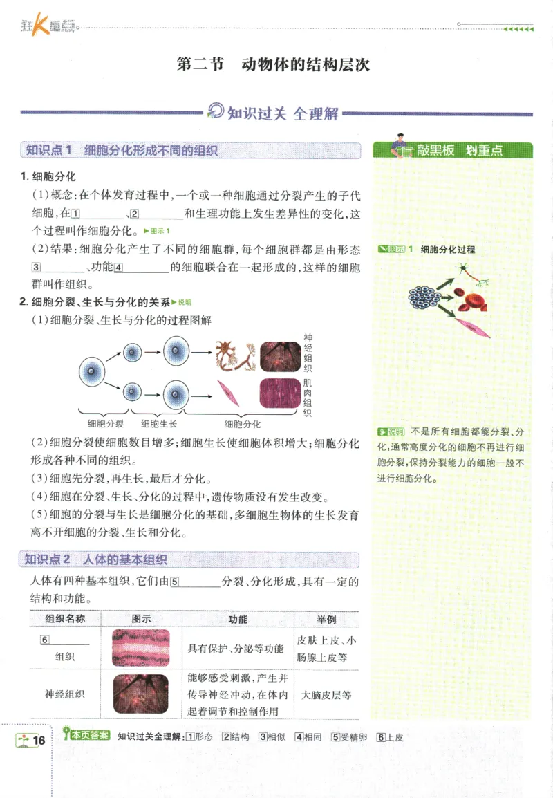 初中必刷题-7上-生物人教版狂K重点_2、2025初中必刷题合集_初中必刷题23+24+25上册_2025版（全科上册）_2025版（全科上册）_初中必刷题生物