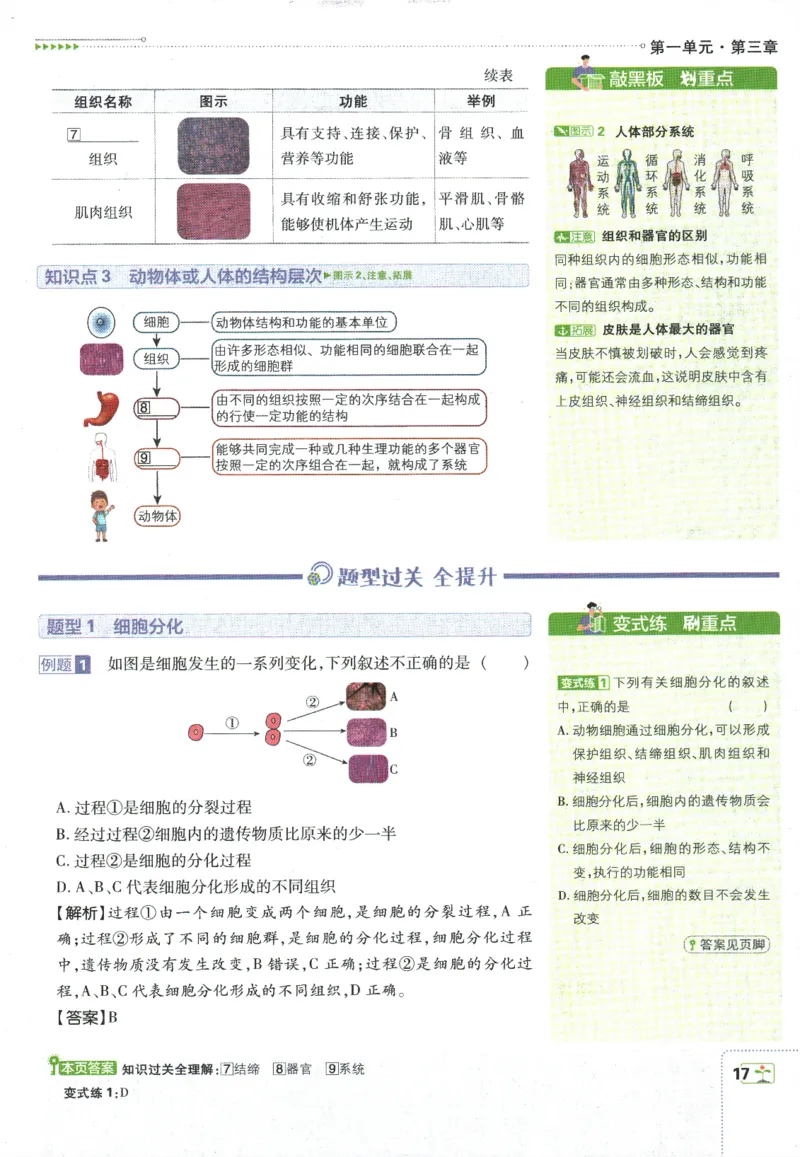 初中必刷题-7上-生物人教版狂K重点_2、2025初中必刷题合集_初中必刷题23+24+25上册_2025版（全科上册）_2025版（全科上册）_初中必刷题生物