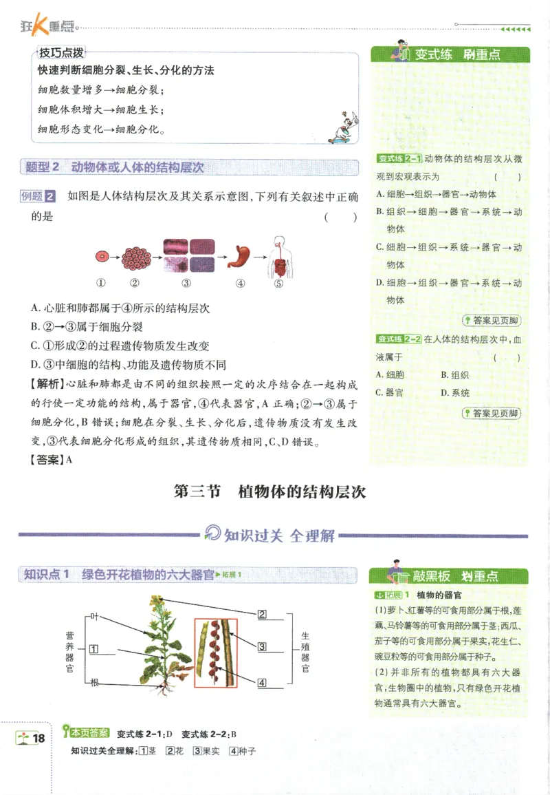 初中必刷题-7上-生物人教版狂K重点_2、2025初中必刷题合集_初中必刷题23+24+25上册_2025版（全科上册）_2025版（全科上册）_初中必刷题生物