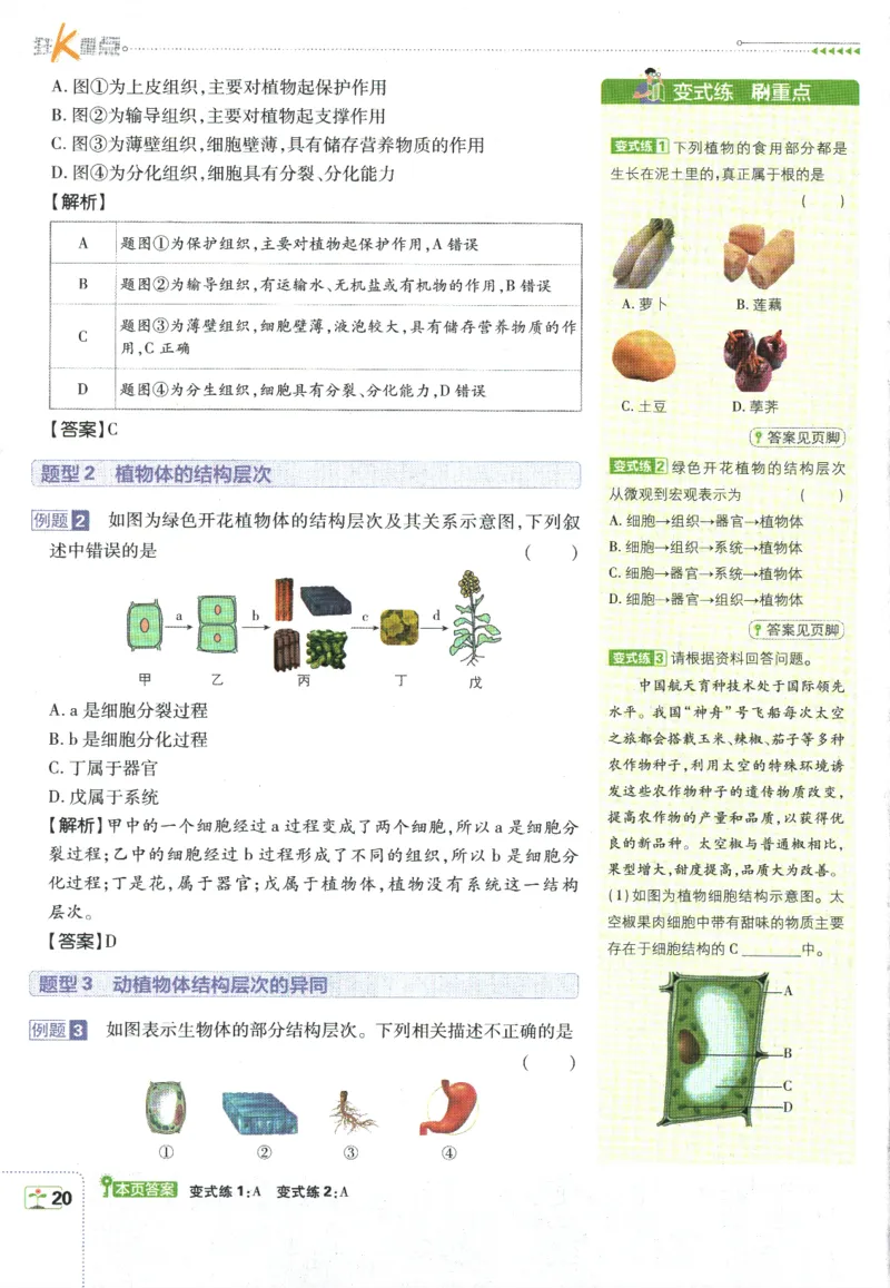 初中必刷题-7上-生物人教版狂K重点_2、2025初中必刷题合集_初中必刷题23+24+25上册_2025版（全科上册）_2025版（全科上册）_初中必刷题生物