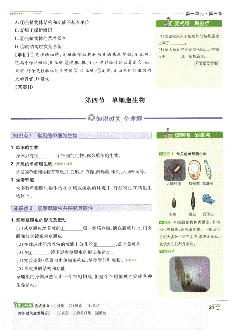 初中必刷题-7上-生物人教版狂K重点_2、2025初中必刷题合集_初中必刷题23+24+25上册_2025版（全科上册）_2025版（全科上册）_初中必刷题生物