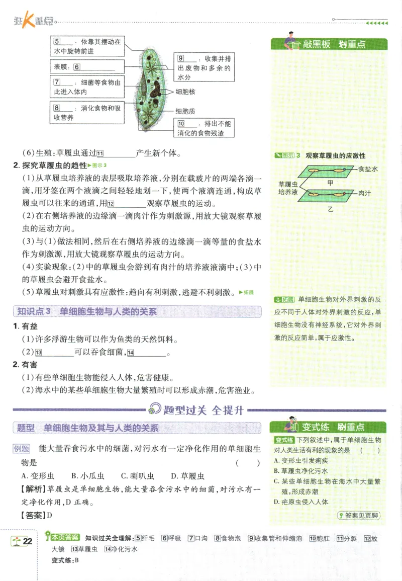 初中必刷题-7上-生物人教版狂K重点_2、2025初中必刷题合集_初中必刷题23+24+25上册_2025版（全科上册）_2025版（全科上册）_初中必刷题生物