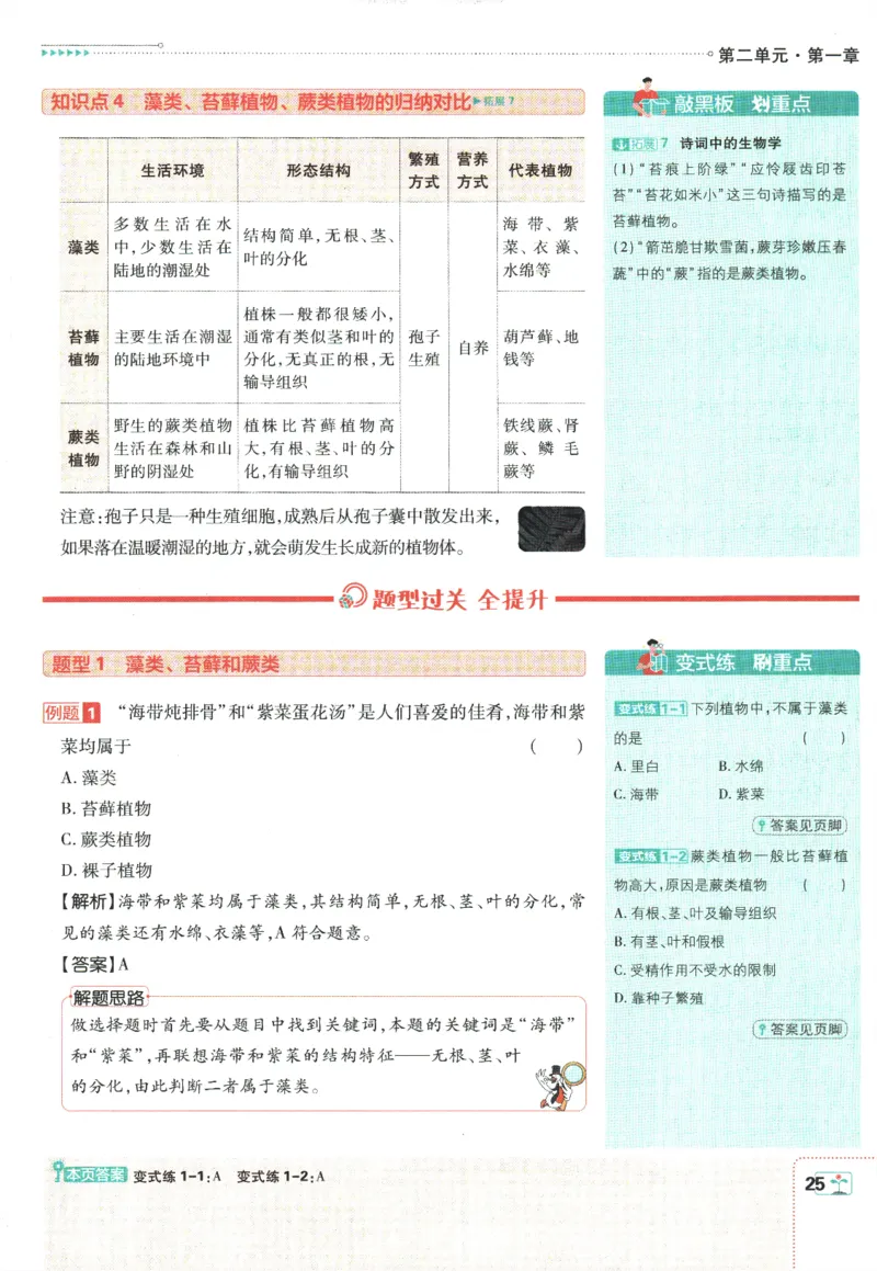 初中必刷题-7上-生物人教版狂K重点_2、2025初中必刷题合集_初中必刷题23+24+25上册_2025版（全科上册）_2025版（全科上册）_初中必刷题生物