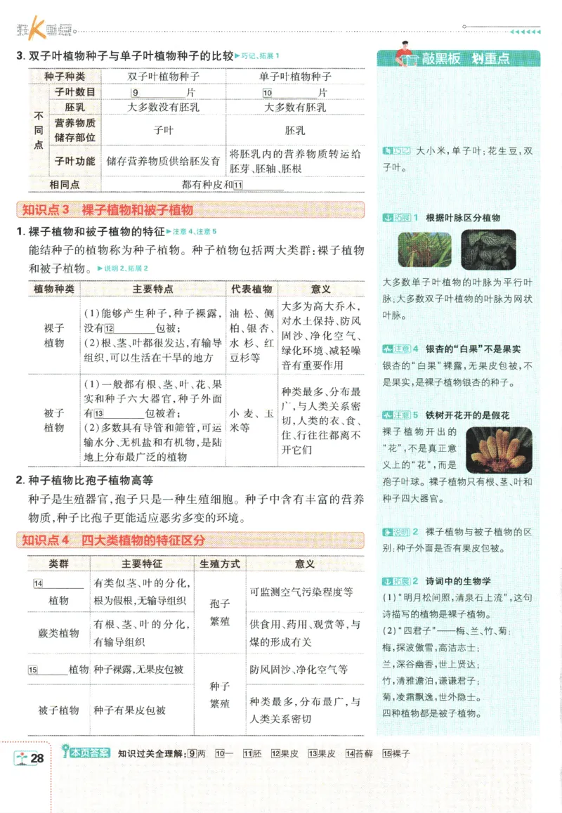 初中必刷题-7上-生物人教版狂K重点_2、2025初中必刷题合集_初中必刷题23+24+25上册_2025版（全科上册）_2025版（全科上册）_初中必刷题生物