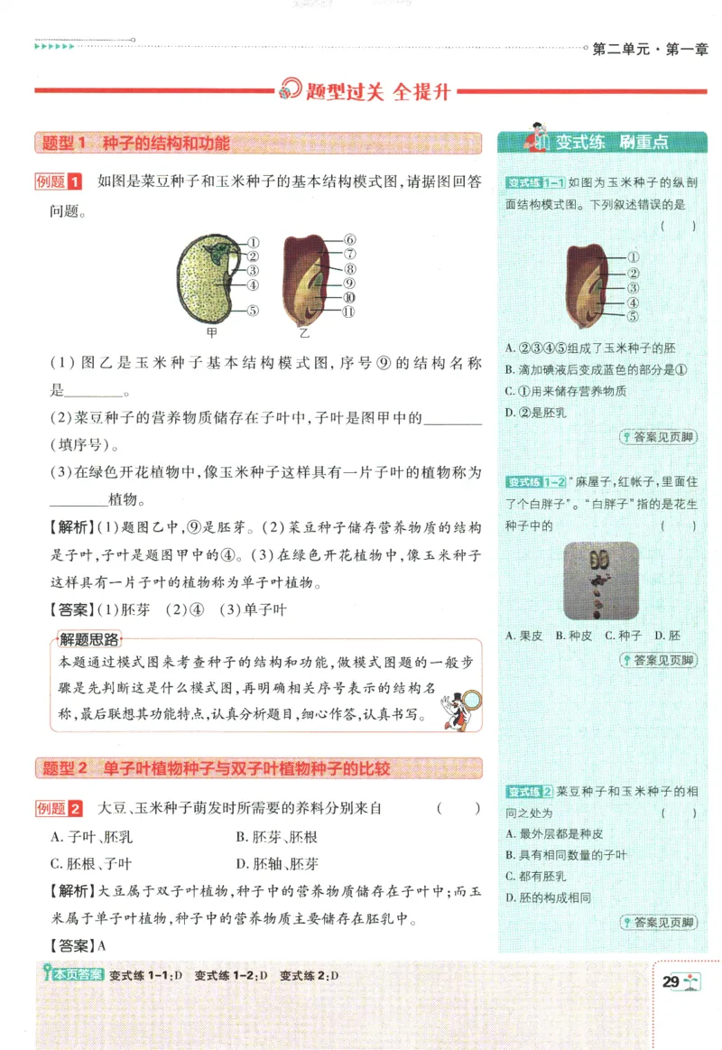 初中必刷题-7上-生物人教版狂K重点_2、2025初中必刷题合集_初中必刷题23+24+25上册_2025版（全科上册）_2025版（全科上册）_初中必刷题生物