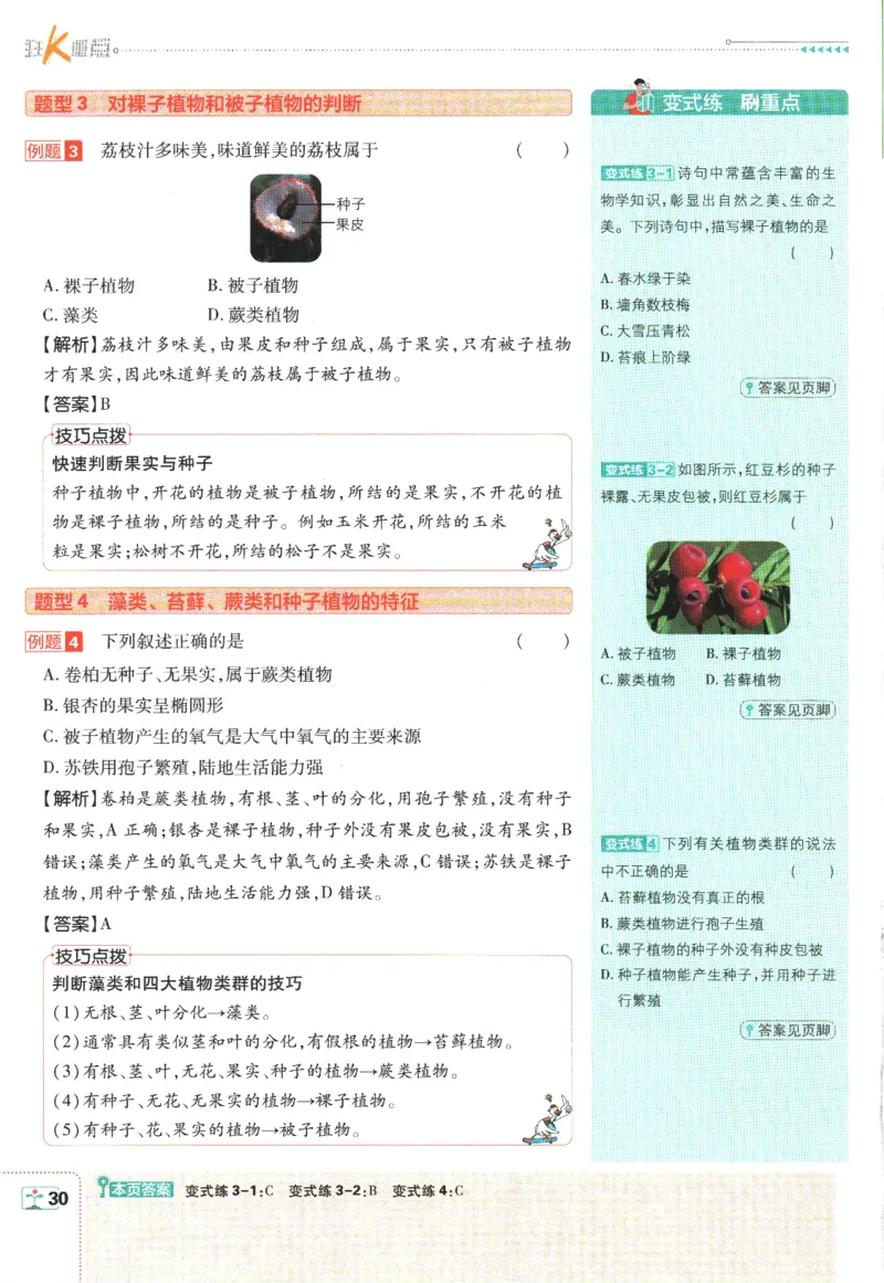 初中必刷题-7上-生物人教版狂K重点_2、2025初中必刷题合集_初中必刷题23+24+25上册_2025版（全科上册）_2025版（全科上册）_初中必刷题生物