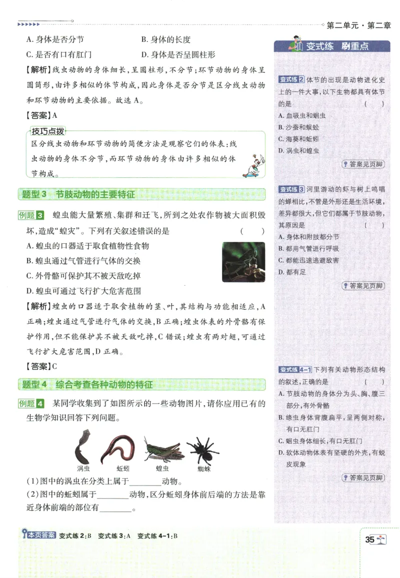 初中必刷题-7上-生物人教版狂K重点_2、2025初中必刷题合集_初中必刷题23+24+25上册_2025版（全科上册）_2025版（全科上册）_初中必刷题生物