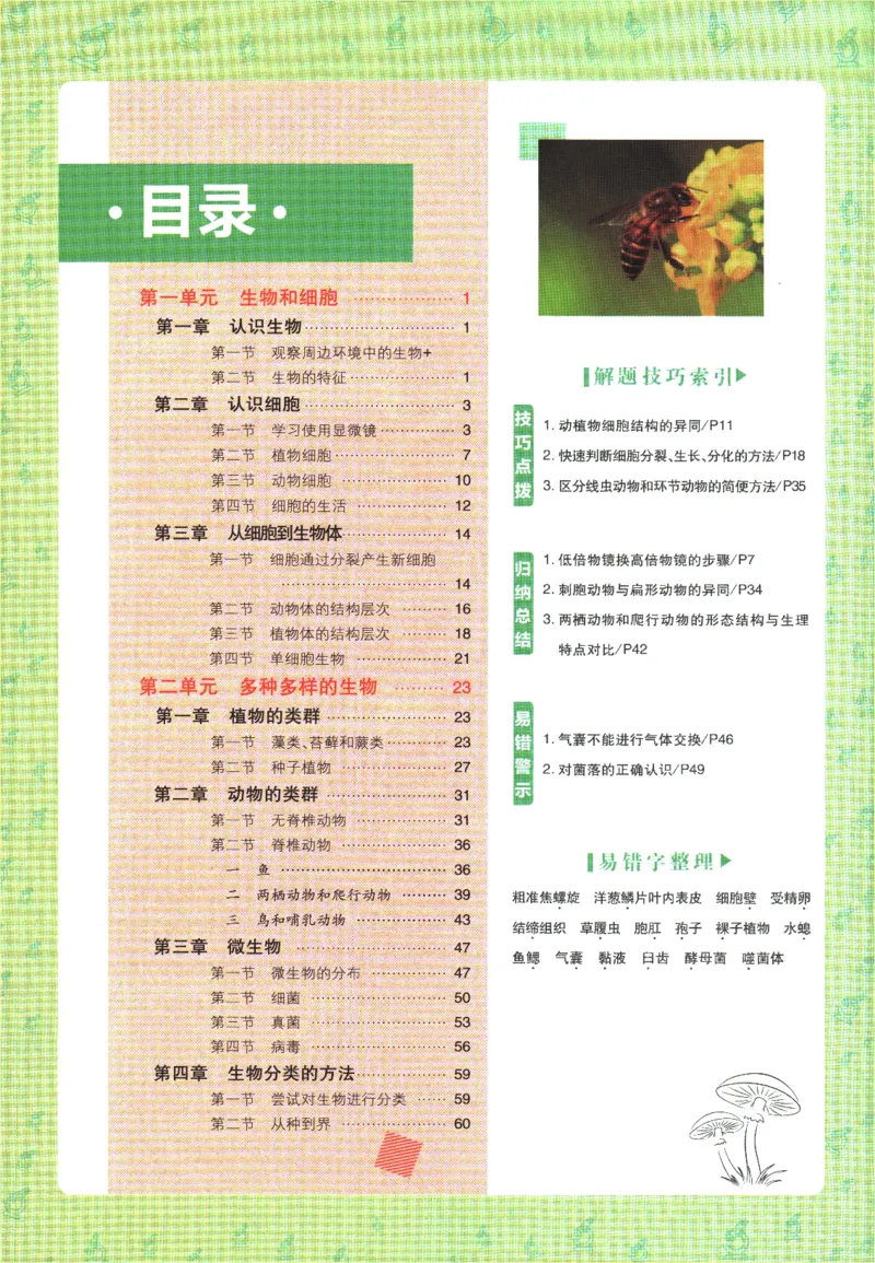 初中必刷题-7上-生物人教版狂K重点_2、2025初中必刷题合集_初中必刷题23+24+25上册_2025版（全科上册）_2025版（全科上册）_初中必刷题生物