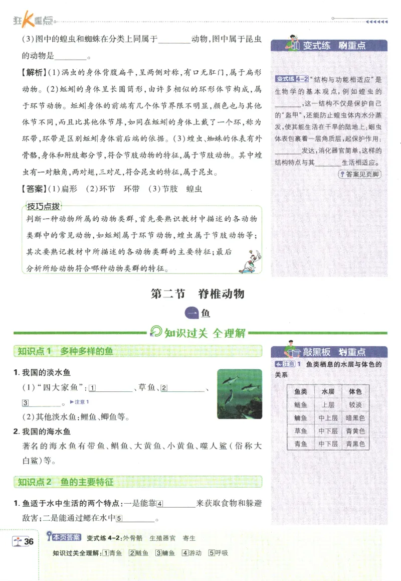 初中必刷题-7上-生物人教版狂K重点_2、2025初中必刷题合集_初中必刷题23+24+25上册_2025版（全科上册）_2025版（全科上册）_初中必刷题生物