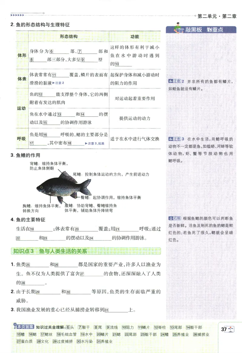 初中必刷题-7上-生物人教版狂K重点_2、2025初中必刷题合集_初中必刷题23+24+25上册_2025版（全科上册）_2025版（全科上册）_初中必刷题生物