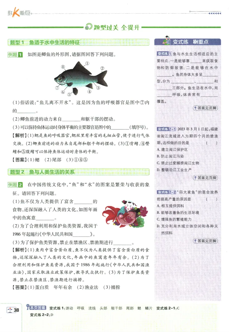 初中必刷题-7上-生物人教版狂K重点_2、2025初中必刷题合集_初中必刷题23+24+25上册_2025版（全科上册）_2025版（全科上册）_初中必刷题生物