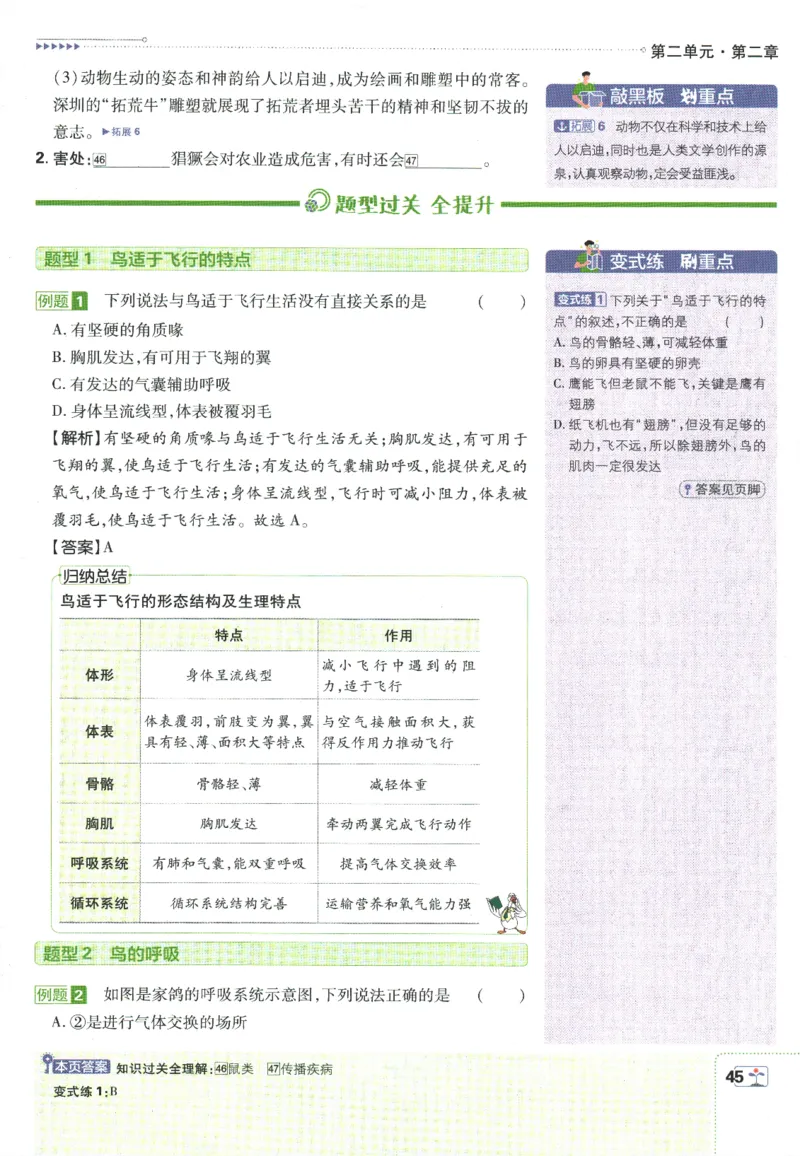 初中必刷题-7上-生物人教版狂K重点_2、2025初中必刷题合集_初中必刷题23+24+25上册_2025版（全科上册）_2025版（全科上册）_初中必刷题生物