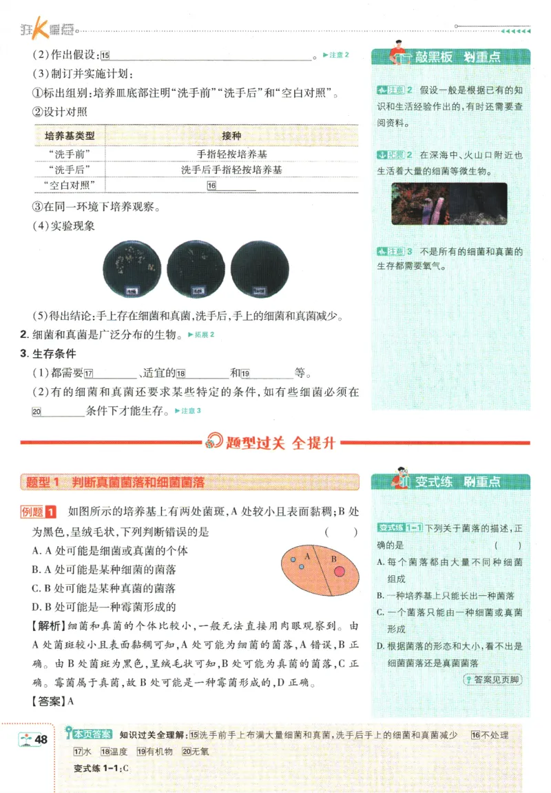 初中必刷题-7上-生物人教版狂K重点_2、2025初中必刷题合集_初中必刷题23+24+25上册_2025版（全科上册）_2025版（全科上册）_初中必刷题生物