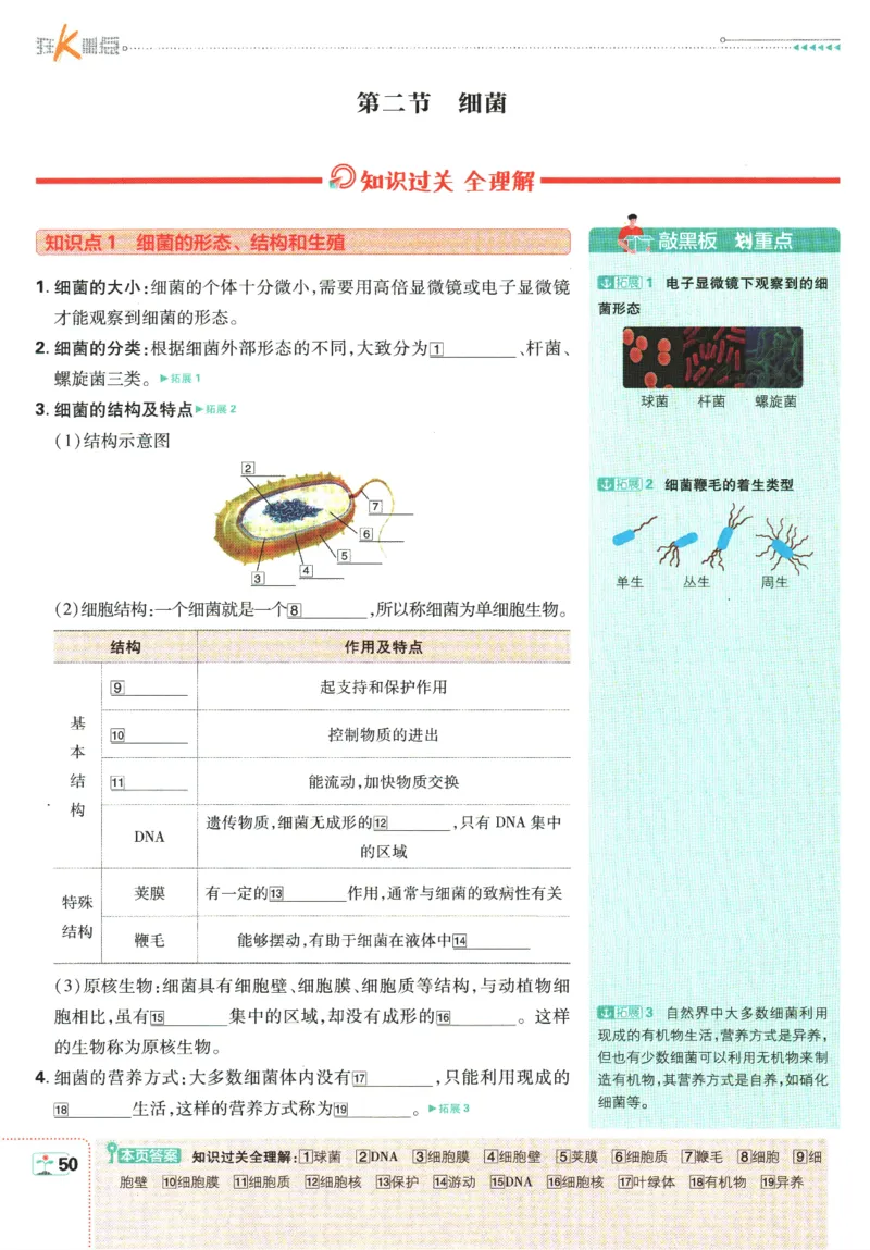 初中必刷题-7上-生物人教版狂K重点_2、2025初中必刷题合集_初中必刷题23+24+25上册_2025版（全科上册）_2025版（全科上册）_初中必刷题生物