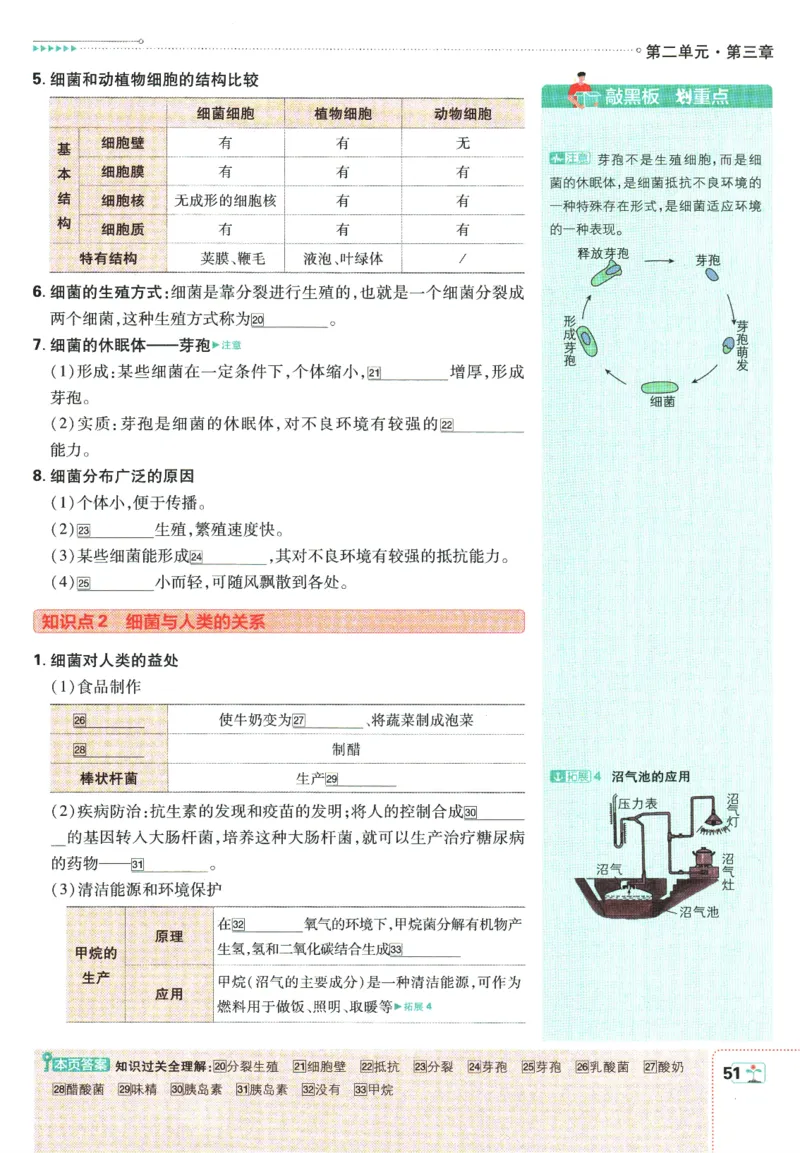 初中必刷题-7上-生物人教版狂K重点_2、2025初中必刷题合集_初中必刷题23+24+25上册_2025版（全科上册）_2025版（全科上册）_初中必刷题生物