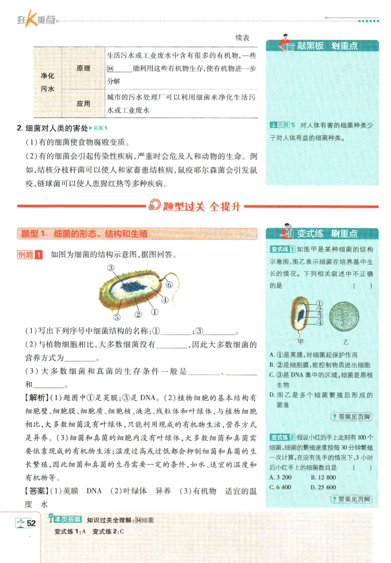 初中必刷题-7上-生物人教版狂K重点_2、2025初中必刷题合集_初中必刷题23+24+25上册_2025版（全科上册）_2025版（全科上册）_初中必刷题生物