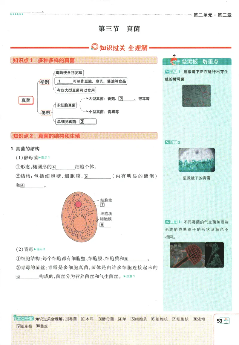 初中必刷题-7上-生物人教版狂K重点_2、2025初中必刷题合集_初中必刷题23+24+25上册_2025版（全科上册）_2025版（全科上册）_初中必刷题生物