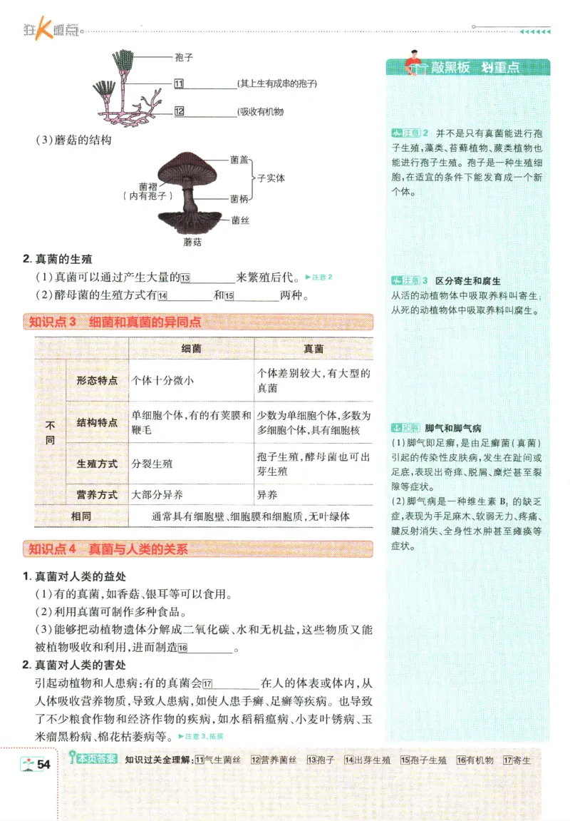 初中必刷题-7上-生物人教版狂K重点_2、2025初中必刷题合集_初中必刷题23+24+25上册_2025版（全科上册）_2025版（全科上册）_初中必刷题生物