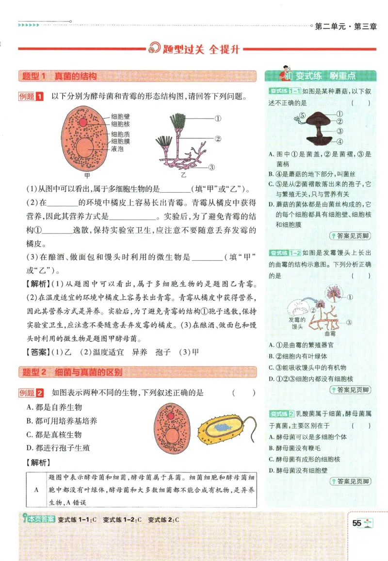 初中必刷题-7上-生物人教版狂K重点_2、2025初中必刷题合集_初中必刷题23+24+25上册_2025版（全科上册）_2025版（全科上册）_初中必刷题生物