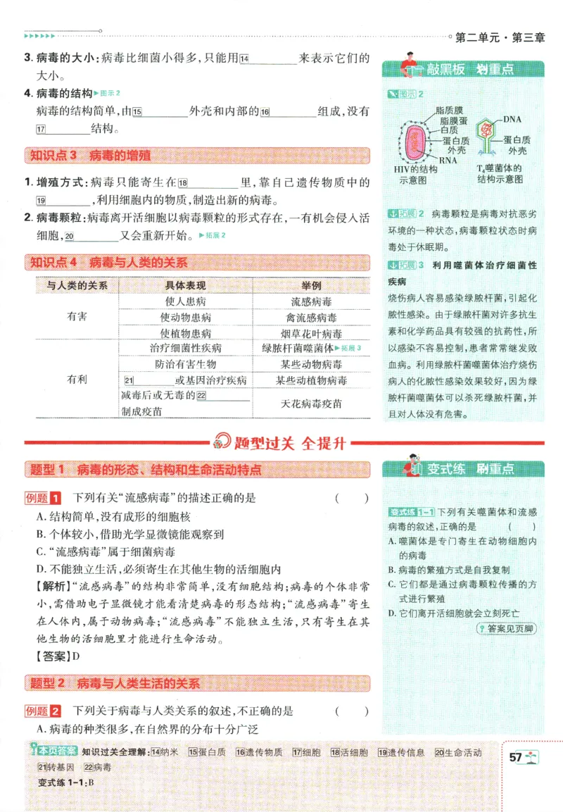 初中必刷题-7上-生物人教版狂K重点_2、2025初中必刷题合集_初中必刷题23+24+25上册_2025版（全科上册）_2025版（全科上册）_初中必刷题生物