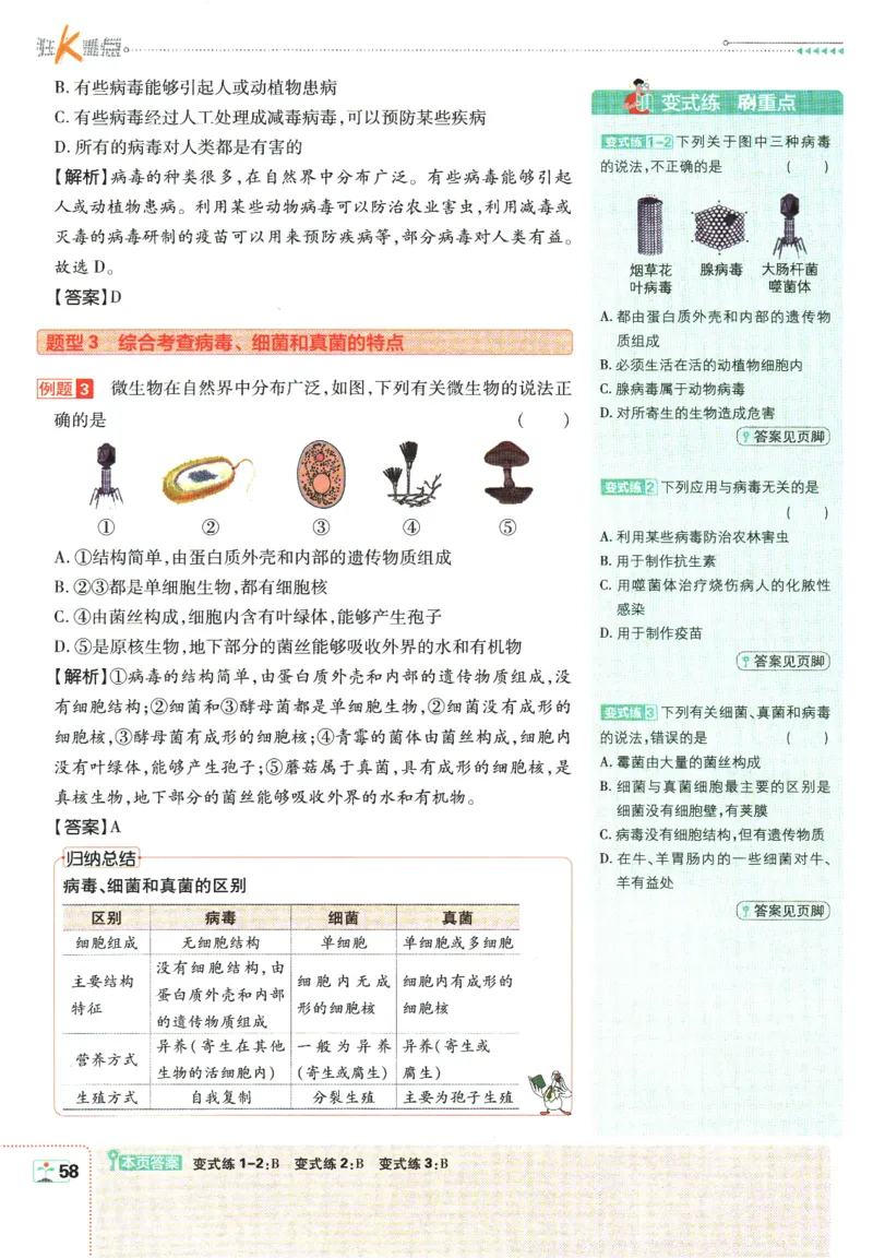 初中必刷题-7上-生物人教版狂K重点_2、2025初中必刷题合集_初中必刷题23+24+25上册_2025版（全科上册）_2025版（全科上册）_初中必刷题生物