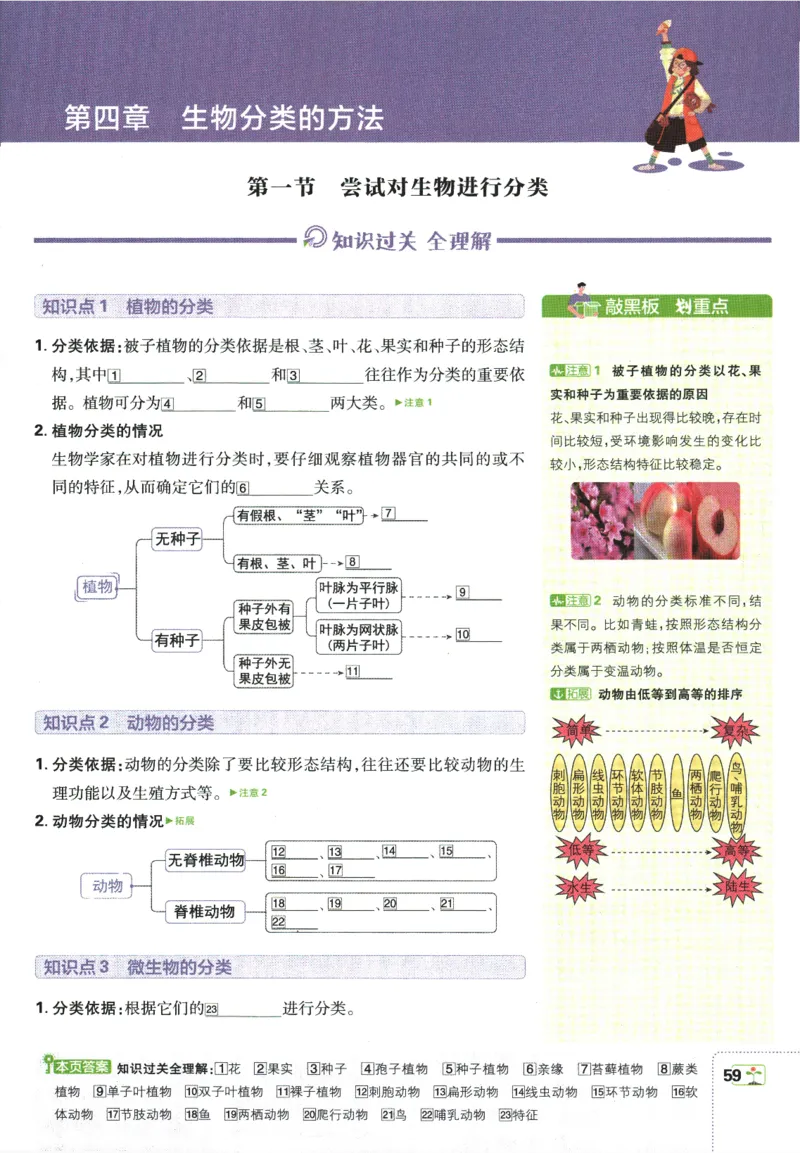 初中必刷题-7上-生物人教版狂K重点_2、2025初中必刷题合集_初中必刷题23+24+25上册_2025版（全科上册）_2025版（全科上册）_初中必刷题生物