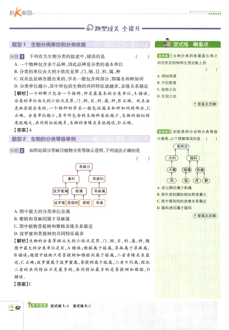初中必刷题-7上-生物人教版狂K重点_2、2025初中必刷题合集_初中必刷题23+24+25上册_2025版（全科上册）_2025版（全科上册）_初中必刷题生物