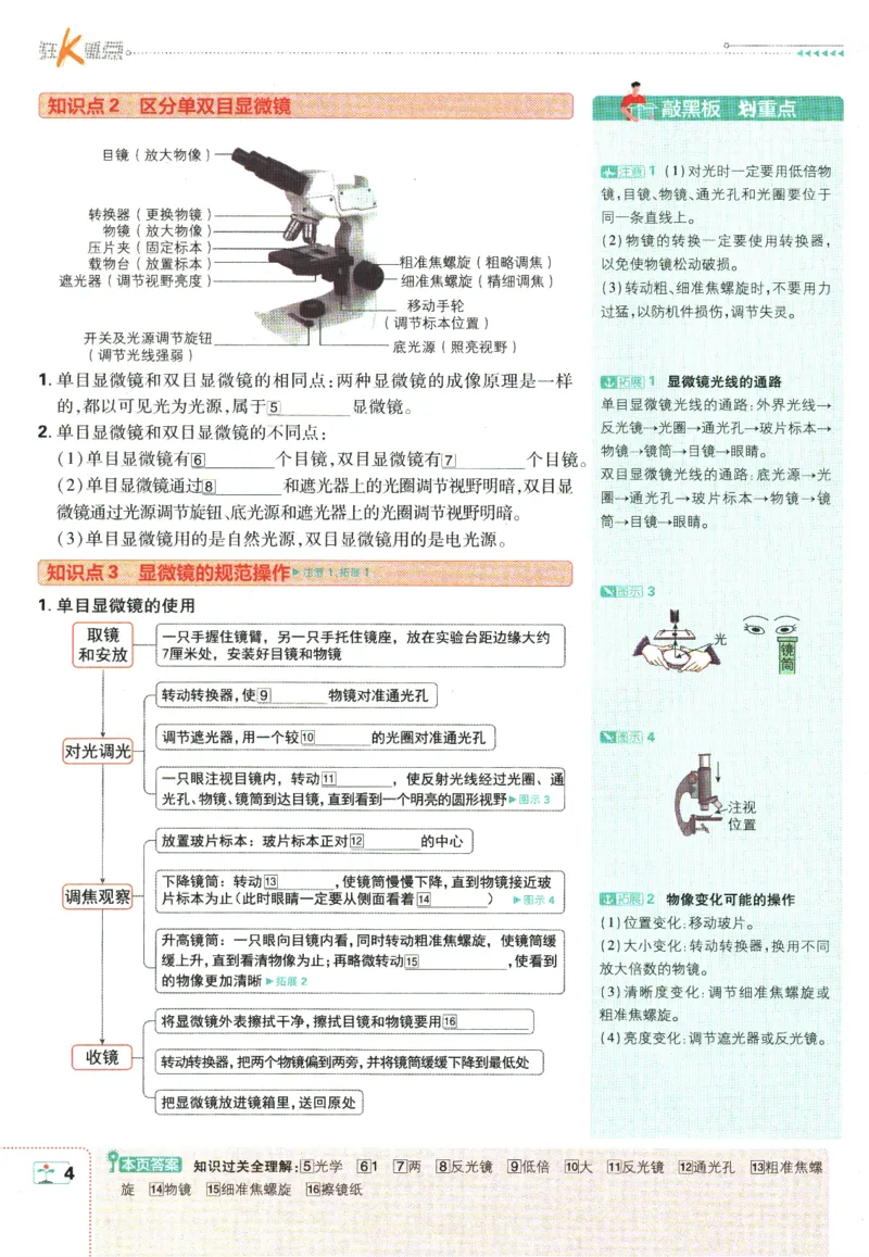 初中必刷题-7上-生物人教版狂K重点_2、2025初中必刷题合集_初中必刷题23+24+25上册_2025版（全科上册）_2025版（全科上册）_初中必刷题生物