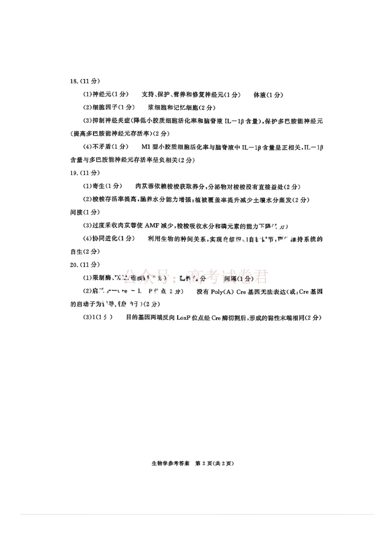 2026年四川省成都市高三第二次模拟测试生物（含答案）_副本_2026届四川省成都市高三第二次模拟测试全科_06生物_四川省成都市高三第二次模拟测试