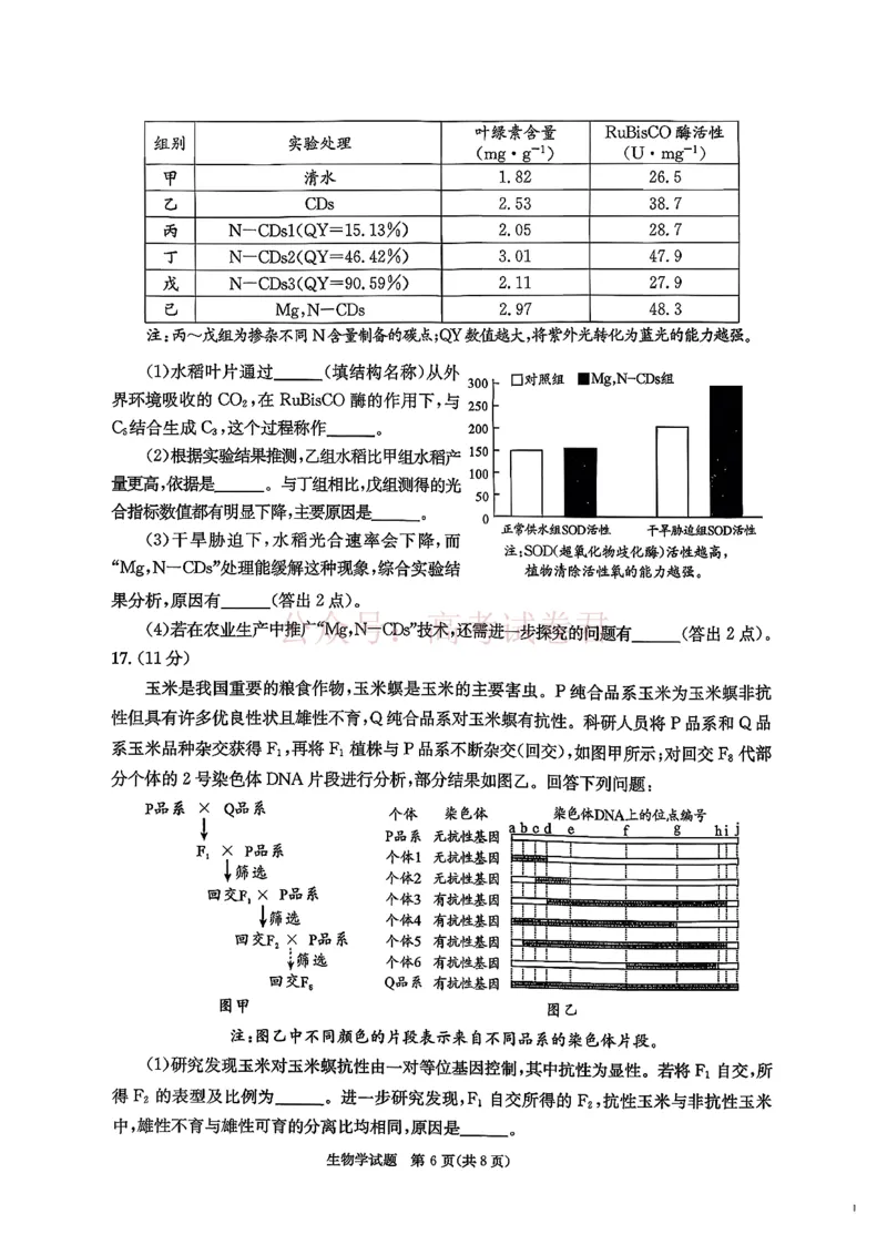 2026年四川省成都市高三第二次模拟测试生物（含答案）_副本_2026届四川省成都市高三第二次模拟测试全科_06生物_四川省成都市高三第二次模拟测试