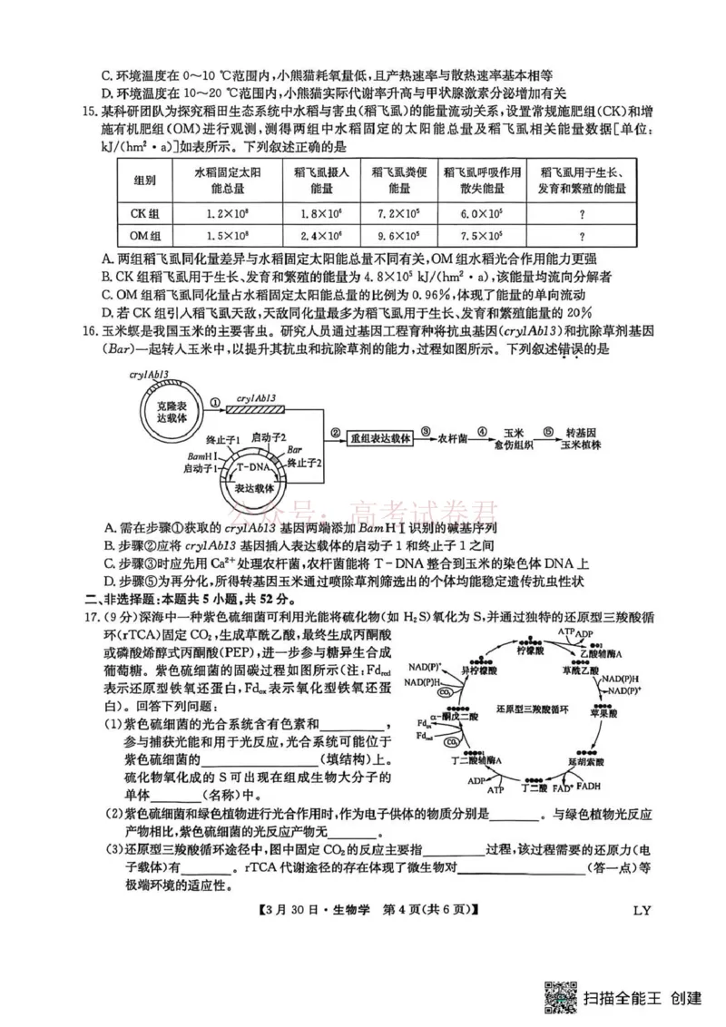 九师联盟2026届高三下学期3月30日质量检测生物_副本_2026届九师联盟高三下学期3月30质量检测_05生物_九师联盟高三下学期3月30质量检测