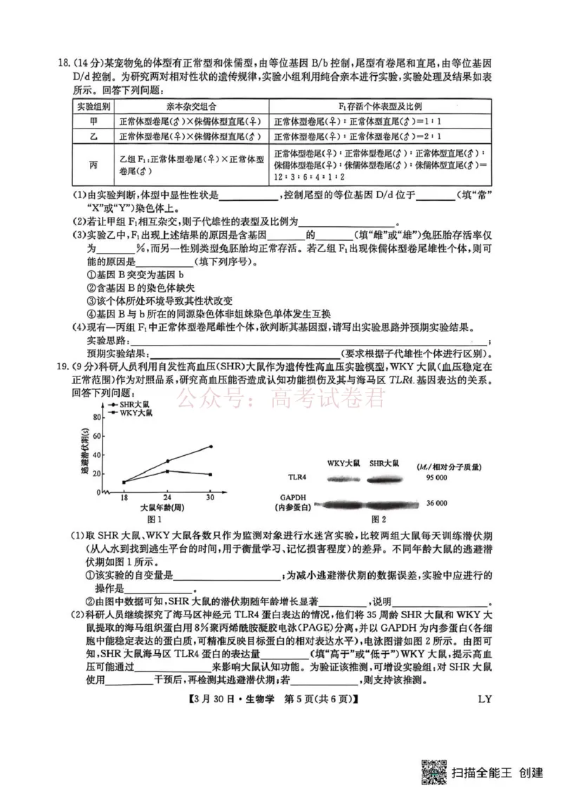 九师联盟2026届高三下学期3月30日质量检测生物_副本_2026届九师联盟高三下学期3月30质量检测_05生物_九师联盟高三下学期3月30质量检测