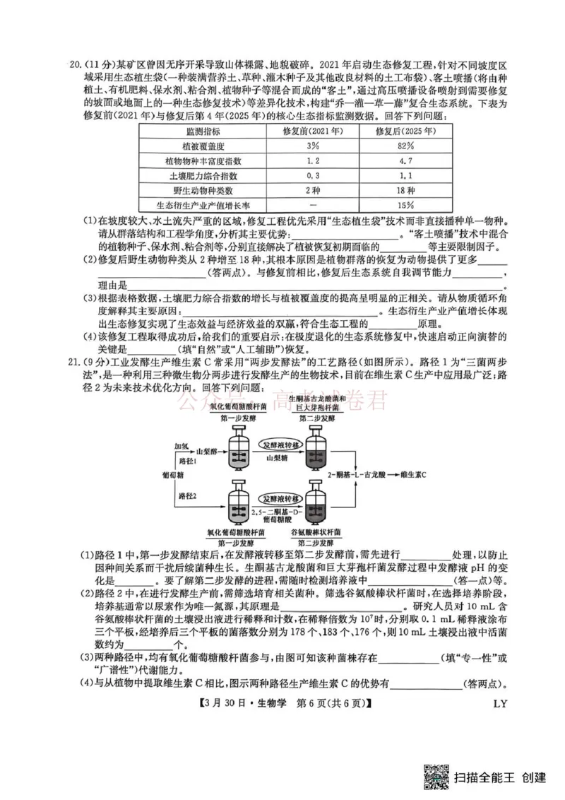 九师联盟2026届高三下学期3月30日质量检测生物_副本_2026届九师联盟高三下学期3月30质量检测_05生物_九师联盟高三下学期3月30质量检测