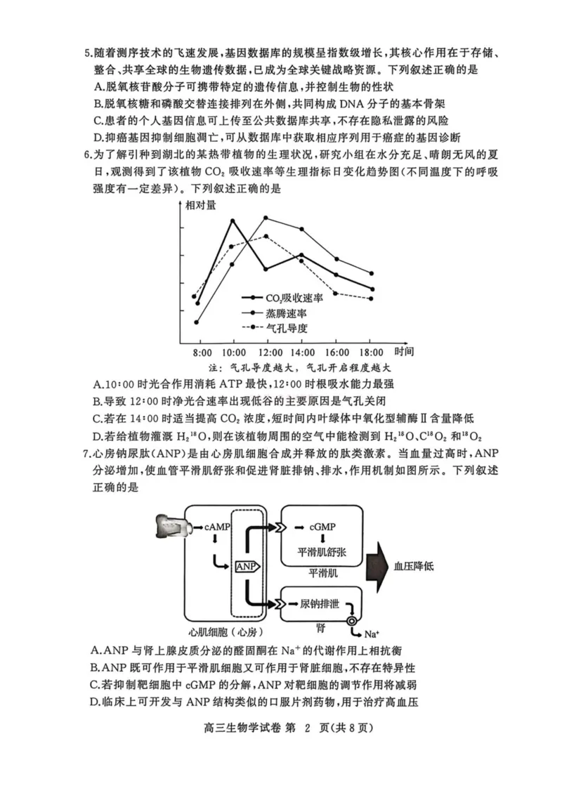 2026年3月高三年级模拟考试生物_2026届湖北省黄冈市3月高三年级模拟考试_06生物2026届湖北省黄冈市3月高三年级模拟考试