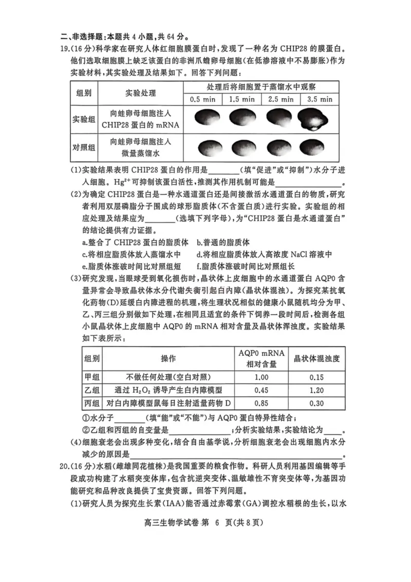 2026年3月高三年级模拟考试生物_2026届湖北省黄冈市3月高三年级模拟考试_06生物2026届湖北省黄冈市3月高三年级模拟考试