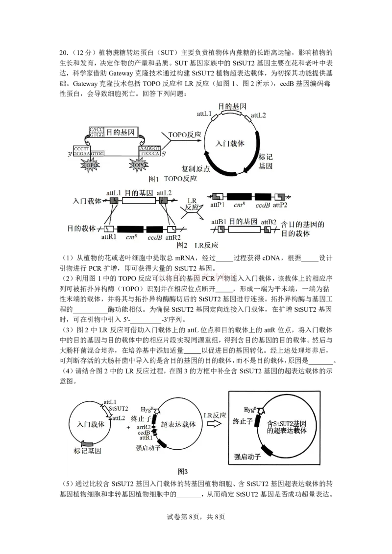 成都市第七中学2025~2026学年度下期高2026届二诊模拟考试生物_2026届四川省成都七中高三二诊模拟考试_生物&middot;2026届四川省成都七中高三二诊模拟考试
