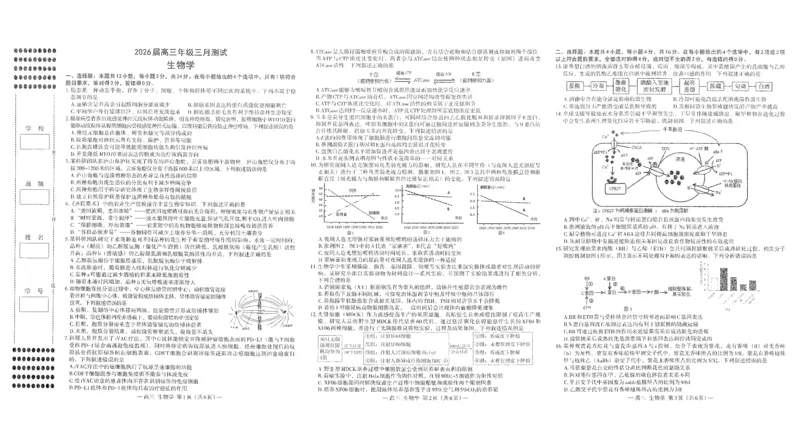 南昌市2025-2026学年高三下学期一模测试生物_副本_2026届江西省南昌市高三下学期一模测试全科_06生物_江西省南昌市高三下学期一模测试