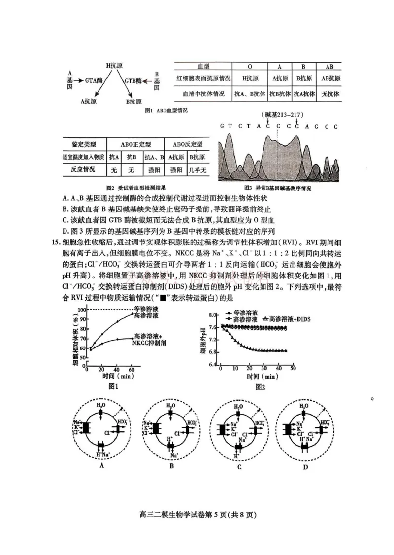 内江市高中2026届第二次模拟考试题生物_副本_2026届四川省内江市高三第二次模拟考试全科_06生物_四川省内江市高三第二次模拟考试