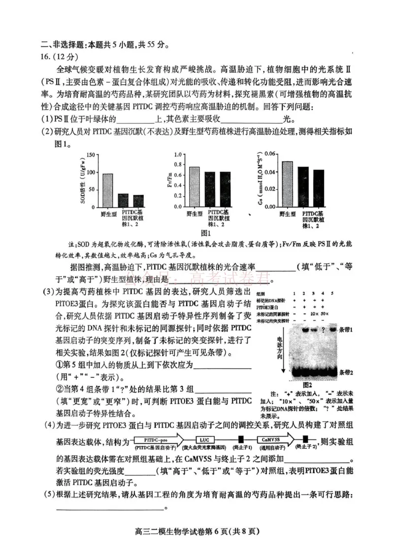 内江市高中2026届第二次模拟考试题生物_副本_2026届四川省内江市高三第二次模拟考试全科_06生物_四川省内江市高三第二次模拟考试