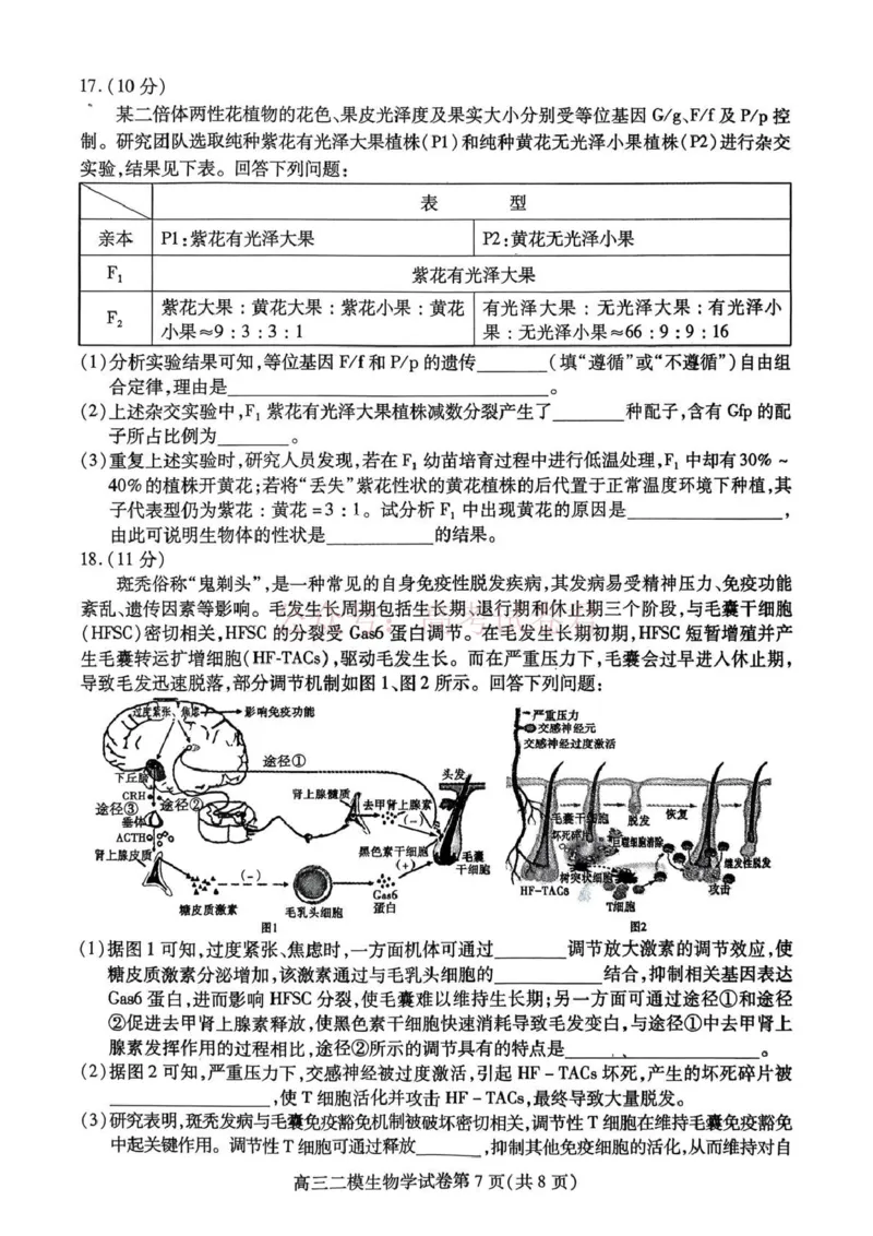 内江市高中2026届第二次模拟考试题生物_副本_2026届四川省内江市高三第二次模拟考试全科_06生物_四川省内江市高三第二次模拟考试