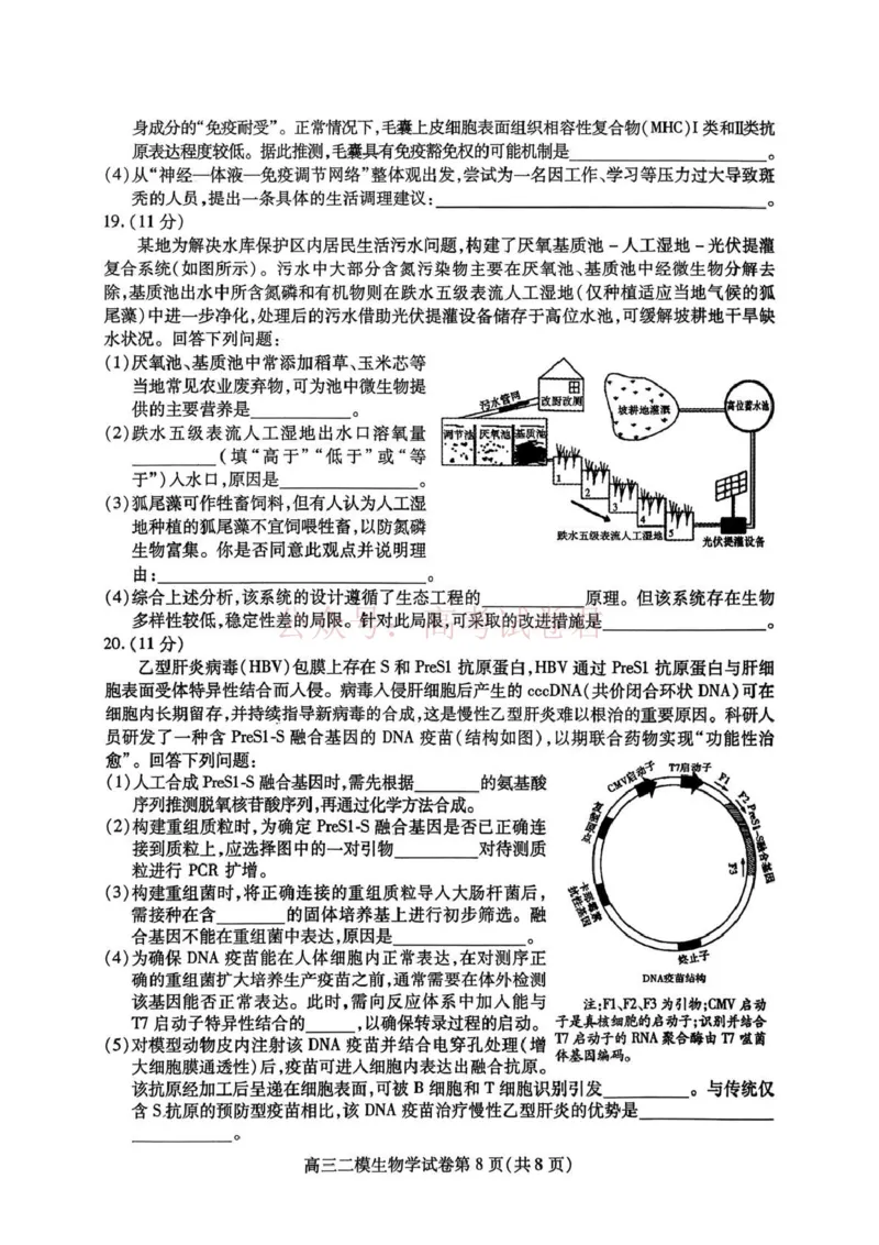 内江市高中2026届第二次模拟考试题生物_副本_2026届四川省内江市高三第二次模拟考试全科_06生物_四川省内江市高三第二次模拟考试