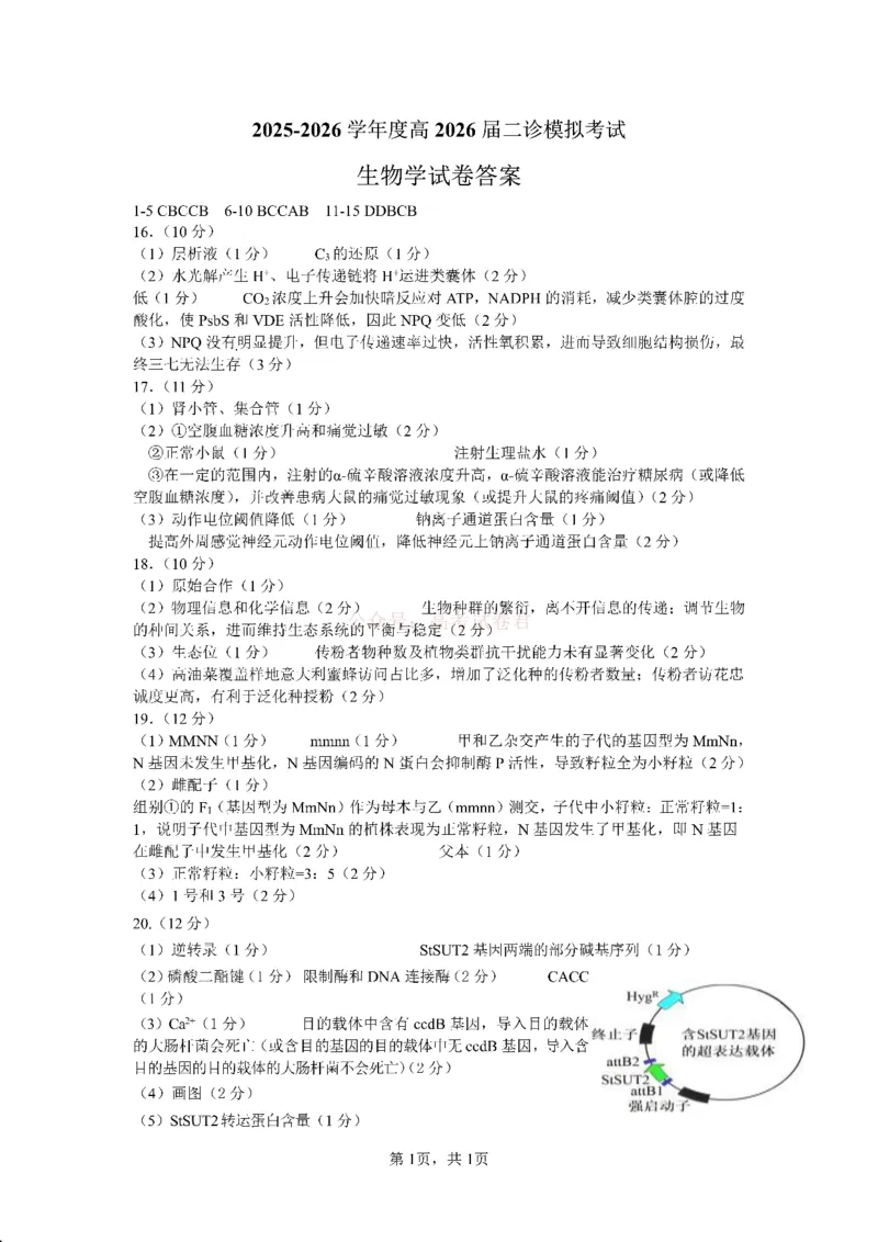 成都市第七中学2025~2026学年度下期高2026届二诊模拟考试生物答案_2026届四川省成都七中高三二诊模拟考试_生物&middot;2026届四川省成都七中高三二诊模拟考试