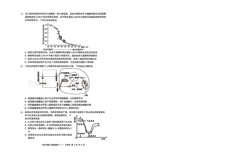 广东省中山市2026届下学期高三一模生物试题（含答案）_副本_2026届广东省中山市高三下学期模拟测试（一）_06生物_广东省中山市高三下学期模拟测试（一）