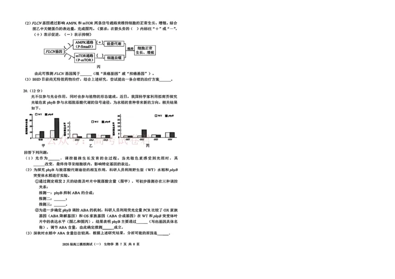 广东省中山市2026届下学期高三一模生物试题（含答案）_副本_2026届广东省中山市高三下学期模拟测试（一）_06生物_广东省中山市高三下学期模拟测试（一）