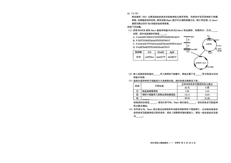 广东省中山市2026届下学期高三一模生物试题（含答案）_副本_2026届广东省中山市高三下学期模拟测试（一）_06生物_广东省中山市高三下学期模拟测试（一）